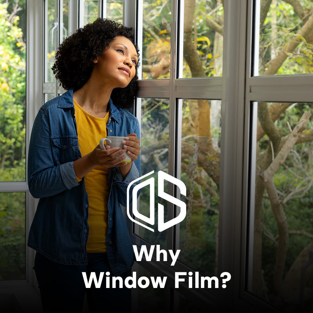 Window Tint 101: What It Is, How It Works & Why It Matters